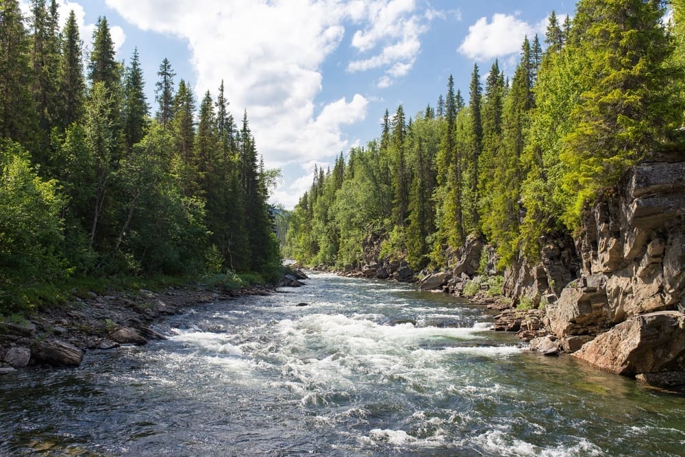 river_resize